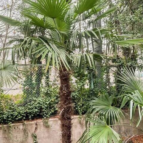 安藤坂東方マンションの室内写真