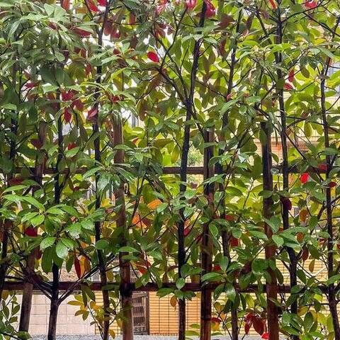 ラ・アトレ玉川瀬田の眺望・バルコニー写真