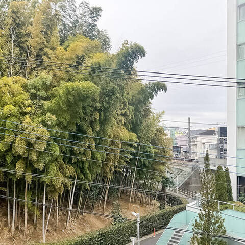 宮前平ガーデンハウスの室内写真