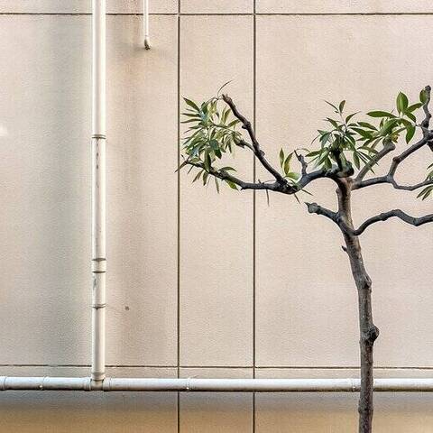 ライオンズマンション神楽坂第3の室内写真