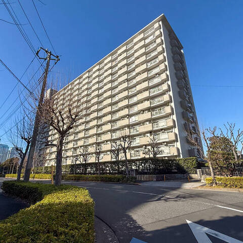 シティコープ豊洲の室内写真