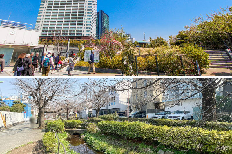 <b>上・</b>自宅の天空庭園に飽きたら（！）、首都高速道路の大橋ジャンクション上にある憩いの場「目黒天空庭園」へ。すぐ隣が「目黒区立大橋図書館」なのもうれしいですね。（徒歩14分）／<b>下・</b>物件と最寄りの「池尻大橋」駅の間にある「北沢川緑道」。季節の草花やせせらぎを楽しめる、幸福感たっぷりの散歩道です。自転車と歩行者でレーン分けされているエリアもあって歩きやすく、愛犬とのお散歩コースにもぴったりですよ（徒歩3分）。