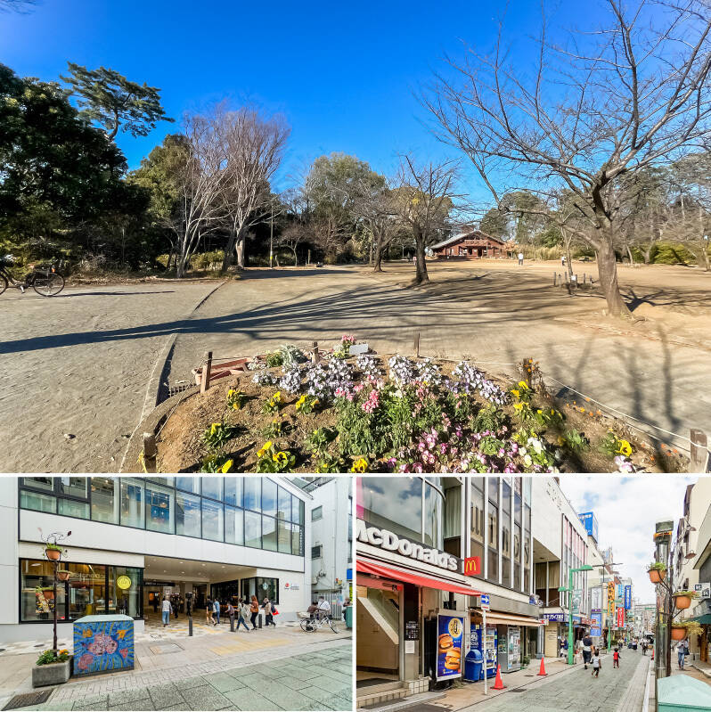 <b>上・</b>売主さまオススメの広大な自然が楽しめる「綱島公園」。夏はプール、春は桜まつりがあり、季節ごとのイベントも魅力的。古墳などの史跡も点在し、散策にもぴったりです。（徒歩1分）／<b>左下・</b>東急東横線「綱島」駅。東急新横浜線「新綱島」駅の開業をきっかけに、駅周辺の再開発が進み、街並みが少しずつ整ってきています。これからの変化も楽しみな、暮らしやすさと将来性を兼ね備えたエリアです。（徒歩2分）／<b>右下・</b>駅前には昔ながらの「綱島商店街」やスーパー、飲食店が揃い、日常の買い物にも困りません。（徒歩1分）