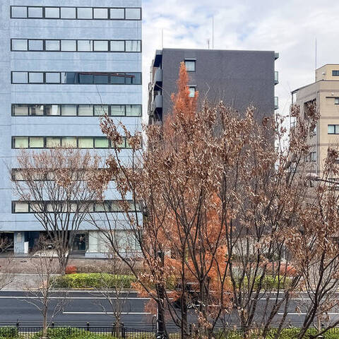 グリーンコーポ東中野の室内写真