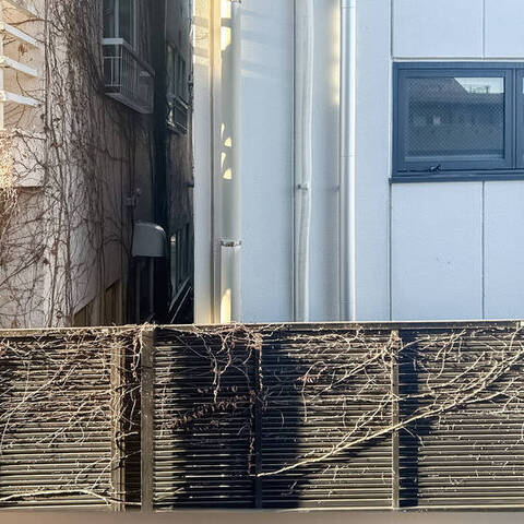 ザ・ステイツ常盤台東山コモンズの室内写真