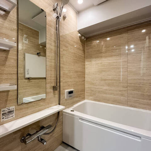 佃スカイハイツの室内写真