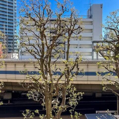 朝日マンション白金通りの室内写真