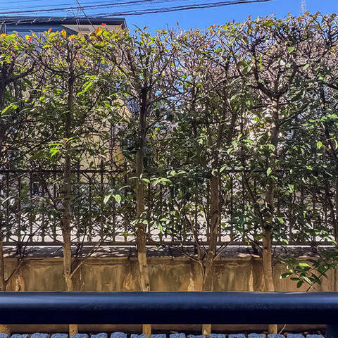 クレッセント阿佐ヶ谷の室内写真