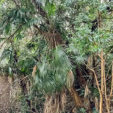 パール岸谷公園の室内写真