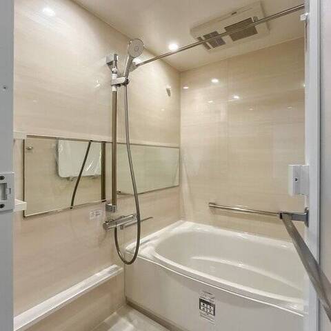 東急ドエルアルス多摩川の室内写真