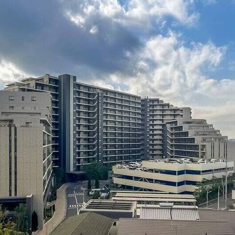 東急ドエルアルス多摩川の室内写真