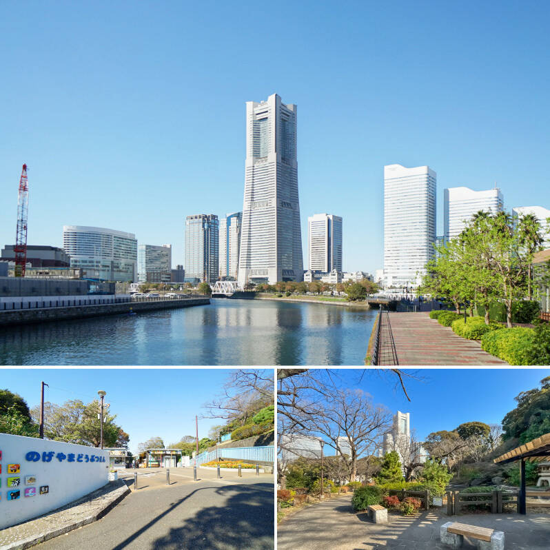 <b>上・</b>街のシンボルになっている「横浜ランドマークタワー」(徒歩13分)。周辺は商業施設が多く、週末ごとにどこへ行こうか迷ってしまいそうなほど。/<b>左下・</b>なんと無料で開放されている「野毛山動物園」。あなどるなかれ、園内にはキリンやチンパンジーもいるんです!(徒歩12分)/<b>右下・</b>ご紹介するマンションの目の前には「掃部山(かもんやま)公園」が。広い園内には池を配した和風庭園や遊具の広場があり、いつだってのびのび楽しめます。犬のお散歩にもオススメ!(徒歩1分)