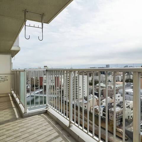 ダイアパレス猿江恩賜公園の眺望・バルコニー写真