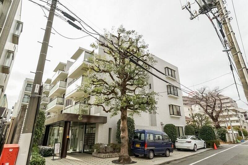 今回取材する物件に着くと、エントランス横にひと際大きなシンボルツリーが!今は少し寂しい印象ですが、夏場は青々とした葉が生い茂っています。