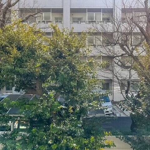 第1ニュー野毛山マンションの室内写真