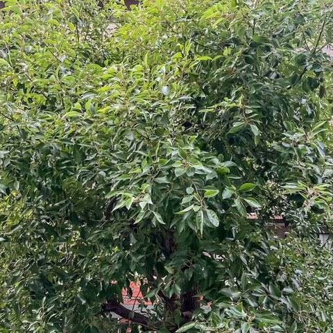 アクシア麻布の室内写真