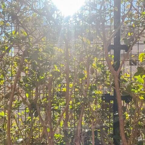 ヒルハイツ宮前平ウエストの室内写真