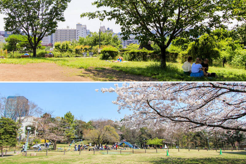旧山手通り沿いには河津桜が見事な「西郷山公園」。高台からは「中目黒」方面を一望できます。その隣には、遊具が充実した「菅刈公園」も。(いずれも徒歩7分)
