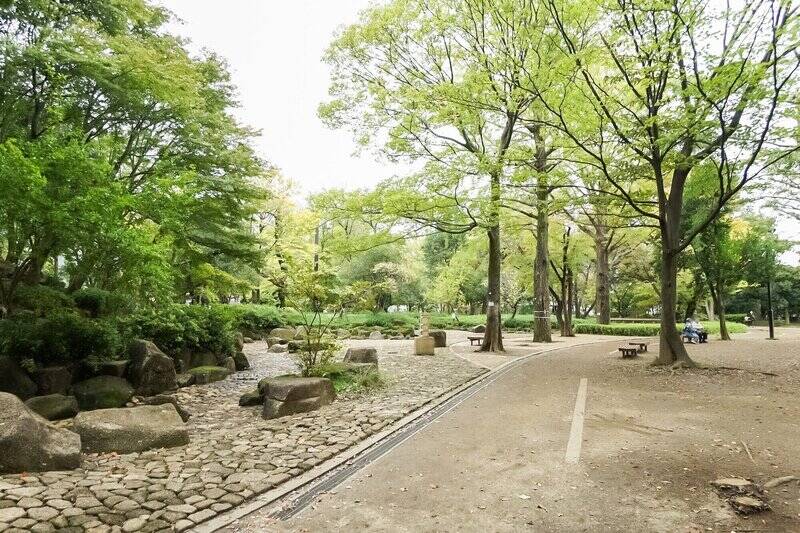 マンションから徒歩6分の場所には「杉並区立井草森公園」が。自然豊かでお子さま用遊具も充実したきれいな公園です。ほかにも、マンションの近くに緑道もあるので、お散歩コースには事欠きません。