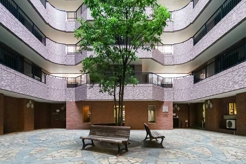 大きなシンボルツリーとインナーコートが! 中目黒にこんな素敵な共用部のあるマンションがあったとはびっくりしました。