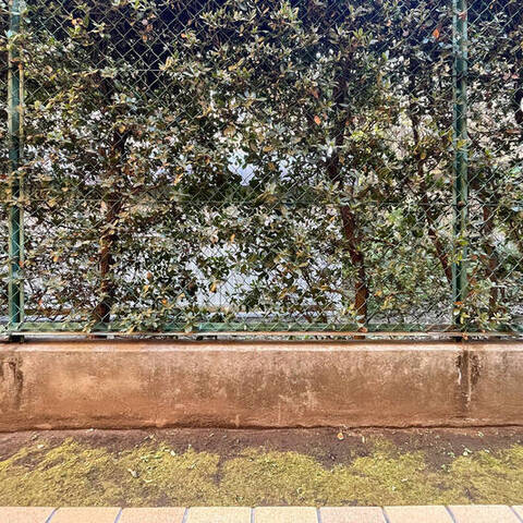 ライオンズマンション宮前平第8の室内写真