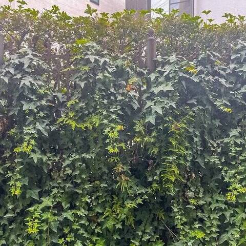 グランシティ目黒碑文谷の室内写真