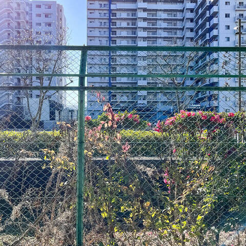 ファミリータウン東陽（A・B棟）の室内写真