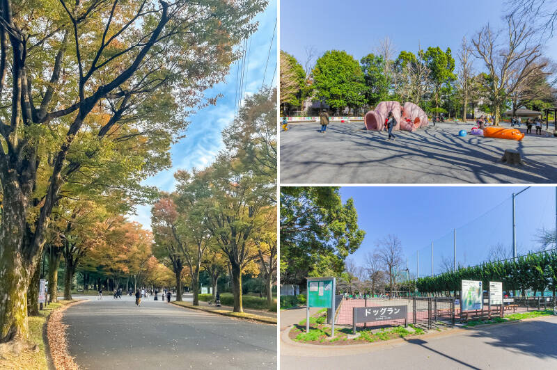 「駒沢オリンピック公園」までは徒歩2分。都度利用できるジムに、ランニングコースやサイクリングコースも整い、日々のトレーニングが捗りそうです。児童向けの「ぶた公園」は、ピンクのぶたさん滑り台が目印。ほかに「りす公園」・「うま公園」も。ドッグランがあるので、ワンちゃんも思いっきり走り回れます。