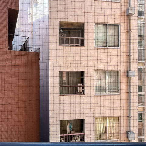 パレエテルネルの室内写真