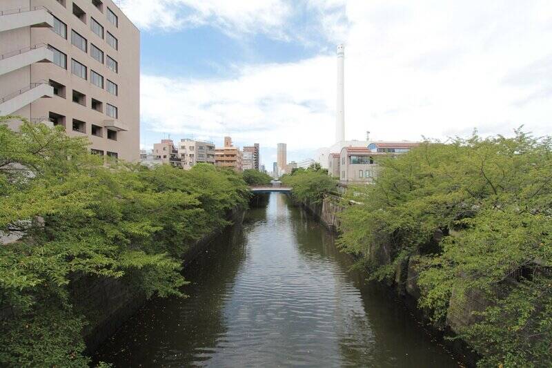 桜の時期「中目黒」駅周辺は大変な賑わいですが、マンション周辺はそのほとぼりがちょうど冷めるくらいのイイ距離感。「中目黒」駅まで最短ルートで徒歩10分、目黒川沿いの遊歩道を通ると徒歩12分です。
