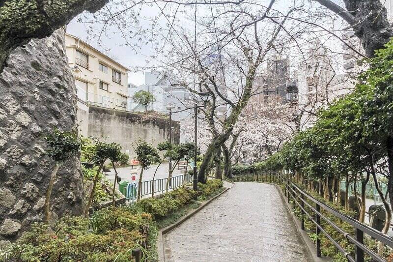 今回ご紹介する物件は、最寄りのJR山手線「目黒」駅から徒歩10分。大通りを挟んで東側に少し向かうと、池田家の屋敷跡を整備した庭園「池田山公園」(徒歩5分)が広がり、都心にありながら豊かな自然を身近に感じられる立地です。