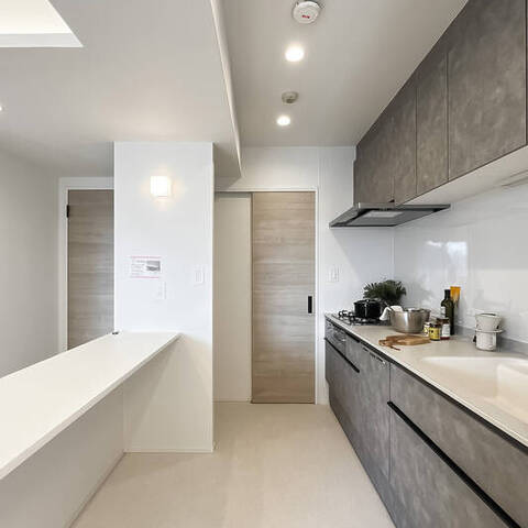 グランエステ川崎ツインタワー弐番館の室内写真