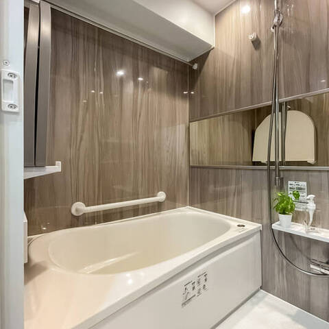 ライオンズマンション隅田公園の室内写真