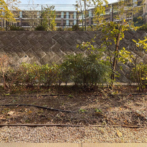 ローレルコート鷺沼の室内写真