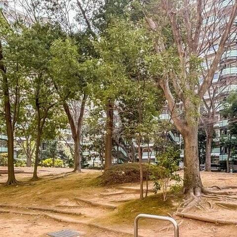 パークシティ溝の口A棟の建物・共用部写真