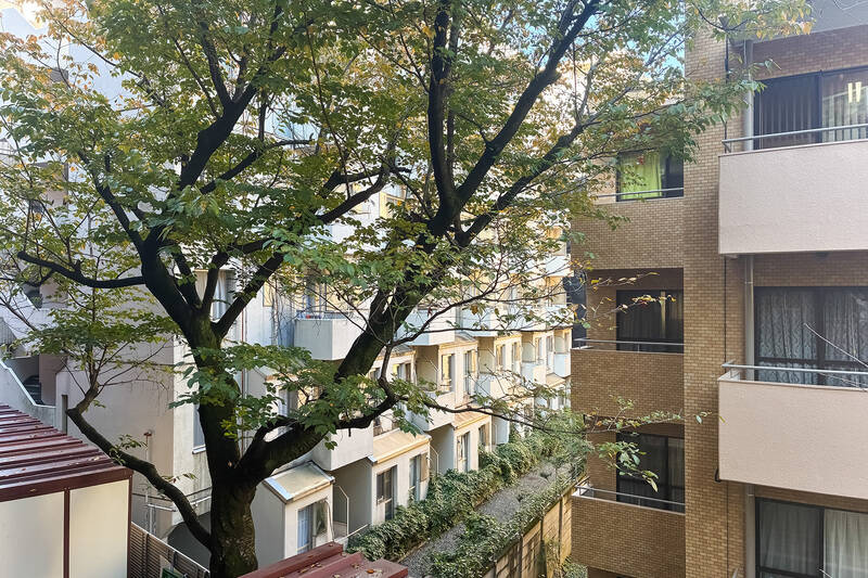 バルコニーからは緑が見える、穏やかな眺望です。