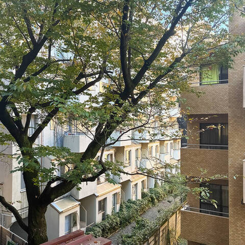 チュリス氷川坂の眺望・バルコニー写真