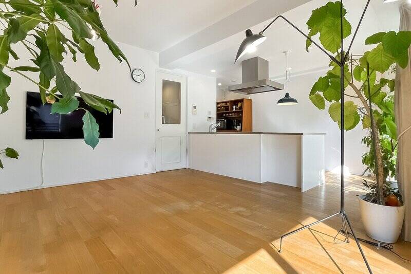 白壁とフローリングに、グリーンがよく映えます。光をたっぷり浴びて、植物もすくすく育ちそう♪