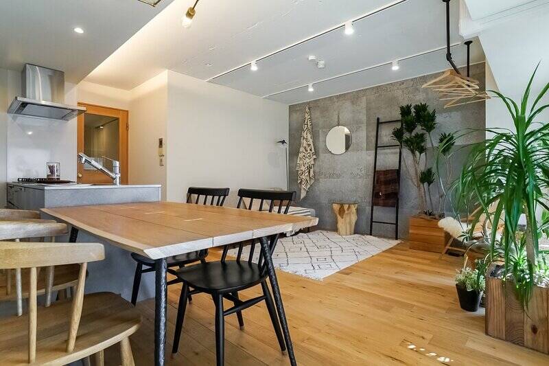 リビング側はこんな感じ。壁一面のグレーが空間のアクセントになっています。グリーンが映える！