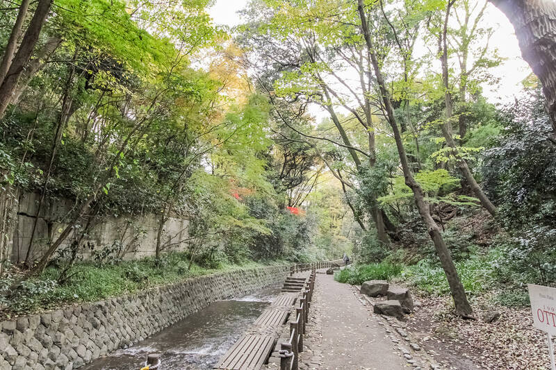 はい、「等々力渓谷」です。倒木の危険性があり2023年から長らく通行止めがとなっていましたが、調査や整備が終わり、2026年3月頃から全面利用を再開する見込みです。整備にあたって “ふるさと納税” で寄付金を募ったのは、なんとも心温まるエピソード。（徒歩9分）