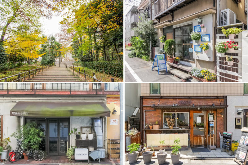 <b>左上・</b>以前は森だったという緑豊かな「中根公園」。ワンちゃんとのお散歩ルートにピッタリ。（徒歩2分）／<b>右上・</b>「手作りちーずけーきせんもん店 やまぐち」はその名の通り、山口さんが営むチーズケーキ屋さん。季節によってラインナップが異なる5種類のチーズケーキは、美味しさはもちろん、手頃な価格も人気の秘密。（徒歩5分）／<b>左下・</b>「malaccabar（マラッカバー）」は東南アジア料理のお店。本格的な味付けが楽しめます。（徒歩3分）／<b>右下・</b>ダイナー「Ferment &amp; Spice Diner TAKIEY（テイキー）」。数種類のビールとともに、スパイスカレーやジャークチキンといった絶品料理をいただけます。（徒歩7分）