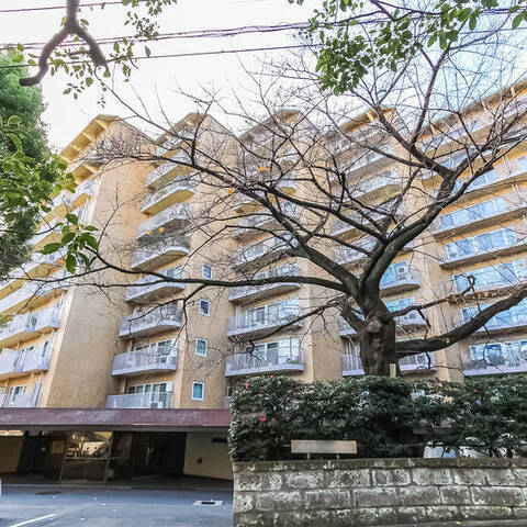 代々木の杜ハイツの建物・共用部写真