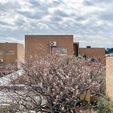 インペリアル菊名の眺望・バルコニー写真