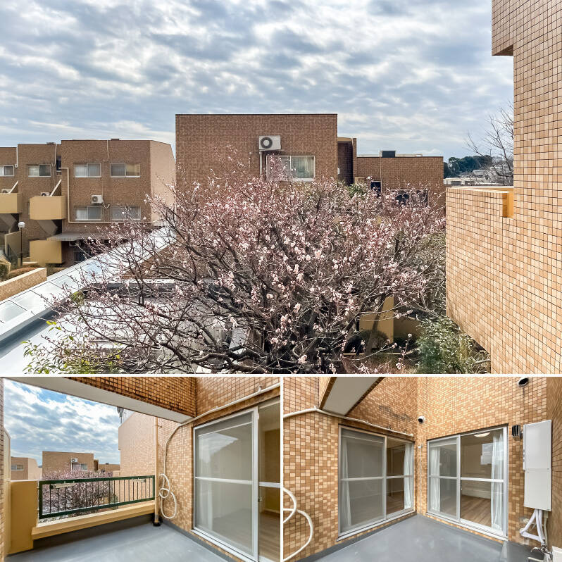 桜よりひと足先に咲く梅の木が目の前に! 毎年春の足音を感じられそうです。ほぼ正方形なので、丸テーブルを出して寛ぎ空間にするのはいかがでしょう? <b>日当たりのいい南東向き</b>です。