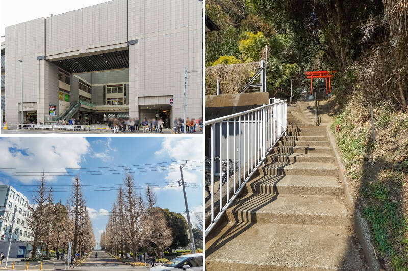 <b>左上・</b>最寄りは、東急東横線・目黒線・新横浜線・横浜市営地下鉄グリーンラインの4路線を利用できる「日吉」駅。横浜や渋谷、池袋まで乗り換えなしでアクセス可能ですよ。（徒歩19分）／<b>左下・</b>駅の東側にドーンと構えるのは、名門「慶應義塾大学日吉キャンパス」。正面の銀杏並木は紅葉の名所として有名です（徒歩19分）。物件はこのキャンパスの裏手にあります。／<b>右・</b>特別な行事期を除き、キャンパス内は塾生以外も通行が許可されています。キャンパスというより軽登山に近い雰囲気ではありますが、広大な敷地を通り抜ければ時短も可能！ 写真は通り道にあったお稲荷さんです。（徒歩3分）