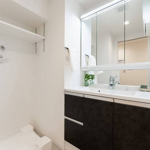 ライオンズマンション豊洲の室内写真