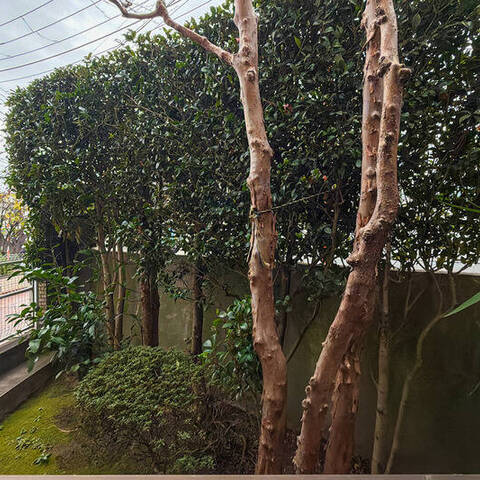 パーク・ハイム山手の室内写真