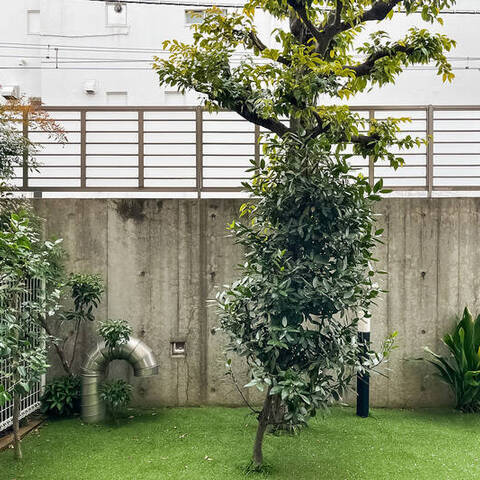 東急ドエルアルス下北沢サウスウインドの室内写真