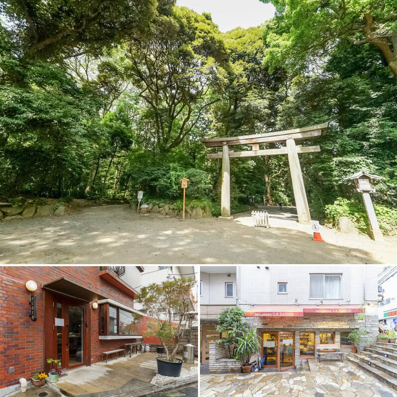 <b>上・</b>「明治神宮西参道口」のたっぷり生い茂った緑の中は、涼しさを感じるほど……こちらでぜひリフレッシュしてください! 休日は境内をゆっくり散歩して「代々木公園」や「代々木八幡」、「原宿」まで抜けてしまうのも楽しそう。いい運動にもなりますよ♪(徒歩11分)/<b>左下・</b>こだわりのジェラートと焼き菓子のお店「FLOTO(フロート)」。スペシャリテの “レモンココナッツローズマリー” のジェラートは必食です♡(徒歩6分)/<b>右下・</b> 参宮橋駅から物件までの道の途中にある「BOULANGERIE LA SAISON(ブーランジュリー ラ・セゾン)本店」。地元民に愛されている話題のベーカリーです。デニッシュも、惣菜パンも美味しそう!(徒歩8分)
