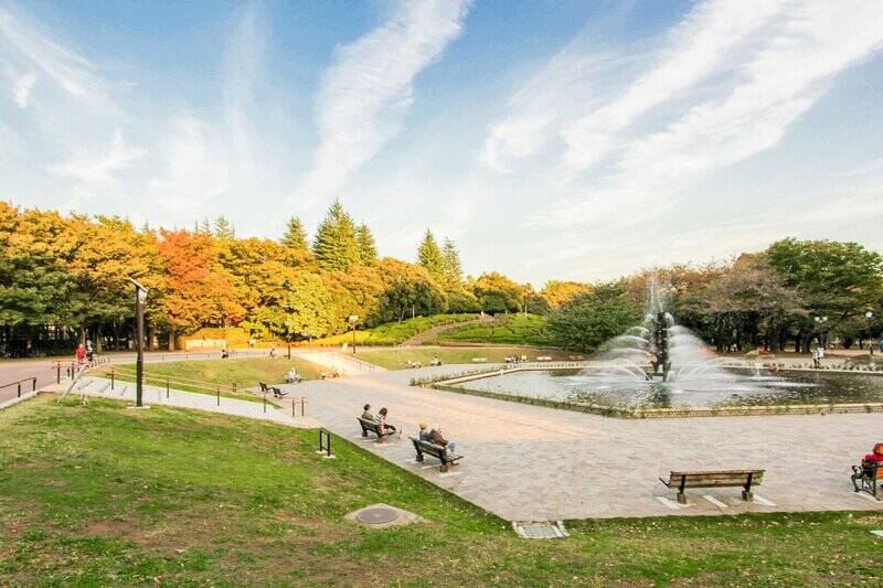 噴水広場、スポーツ施設、プレーパークなどが揃う「世田谷公園」。公園の中心部にある噴水のまわりには、元気に遊ぶ子どもたちや、ベンチに腰掛け本を読む人の姿もあり、思い思いに過ごせる場所です。（徒歩11分）